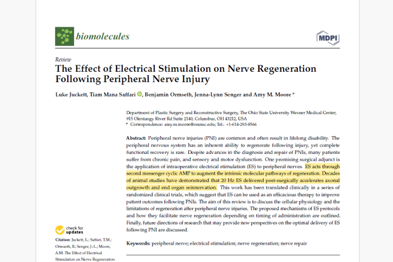 PDF 2 - The Effect of Electrical Stimulation on Nerve Regeneration