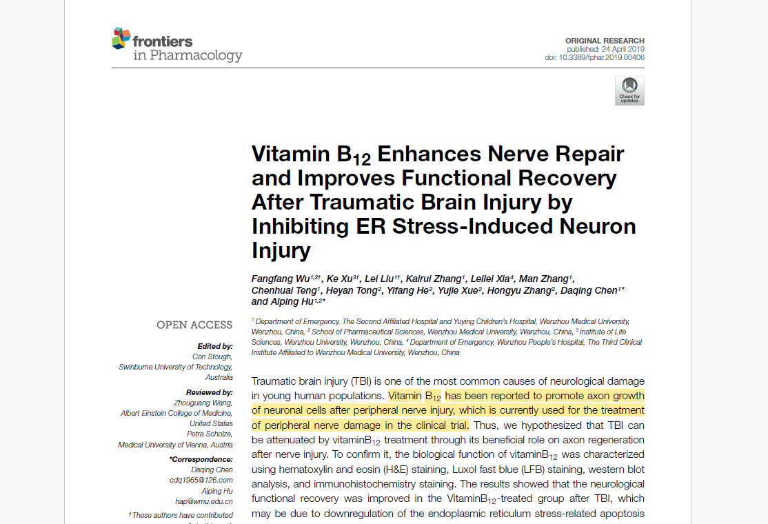 PDF 3A - Vitamin B12 Enhances Nerve Repair